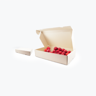Caja Multiusos Earth Pact Eco Microcorrugada Mediana